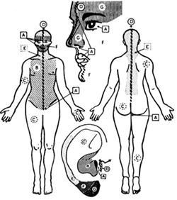 Nogierzonen zur Lasertherapie Image